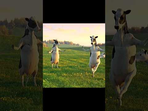 FUNNY COW DANCE 🤣🐮| COW SONG _ COW VIDEOS | DANCING COW | ANIMAL SOUND