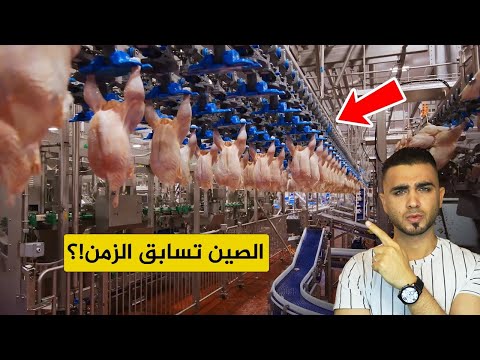 تكنولوجيا الصين في تربية 34 مليار دجاجة😍مزارع دجاج عملاقة متطورة بشكل لا يوصف🤔