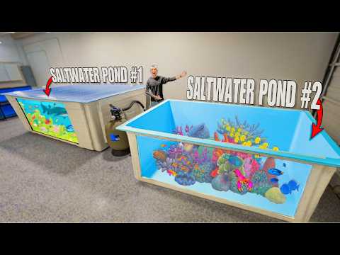 We Bought Our DREAM SALTWATER REEF POND for the Fish Warehouse!