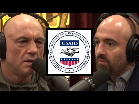 "When it's too dirty for CIA you give it to USAID..." | Joe Rogan & Mike Benz