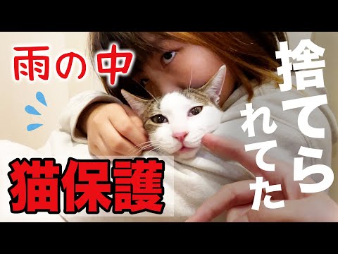 飼う？飼わない？😭猫が捨てられていたので拾ってきました。もう9匹いるのに、、、　#多頭飼い #野良猫　#保護