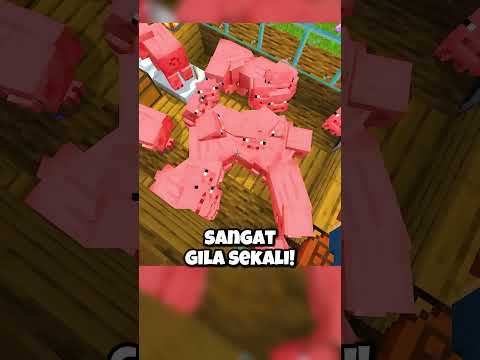 Cara Prank Dengan Pig