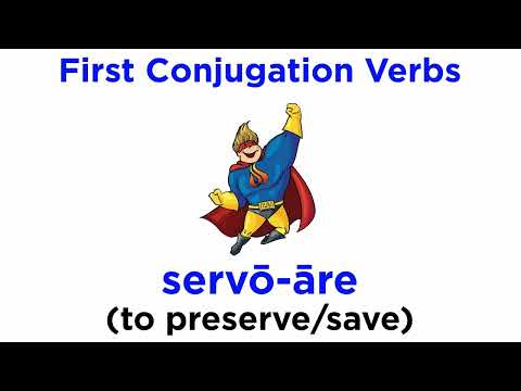 Present Indicative Verbs (First and Second Conjugation)