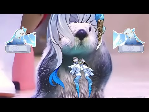 Neuvillette Hydro Otter SPINNING is the Cutest!!!