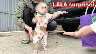 Lala is surprised when Dad Quan visits after many days of separation!