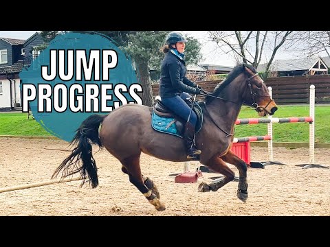 FULL LESSON VLOG| Progress!