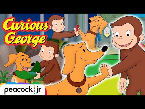 Monkey's Best Friend? 🐵 🐶 George & Hundley's Best Adventures | CURIOUS GEORGE