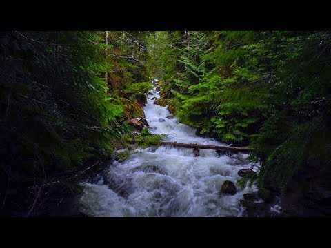 8 Hours Rushing Water Video and Sounds - ASMR, SLEEP, RELAX | Great Escapes